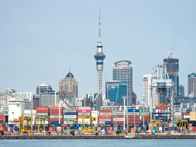 New Zealand Customs Enforcing Medsafe