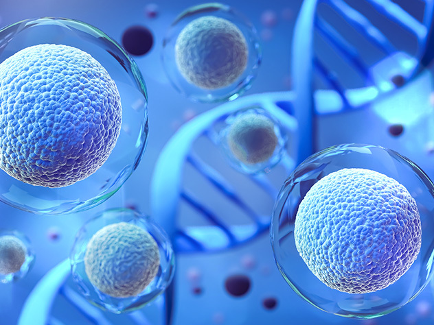 Commercialization strategies for cell and gene therapies